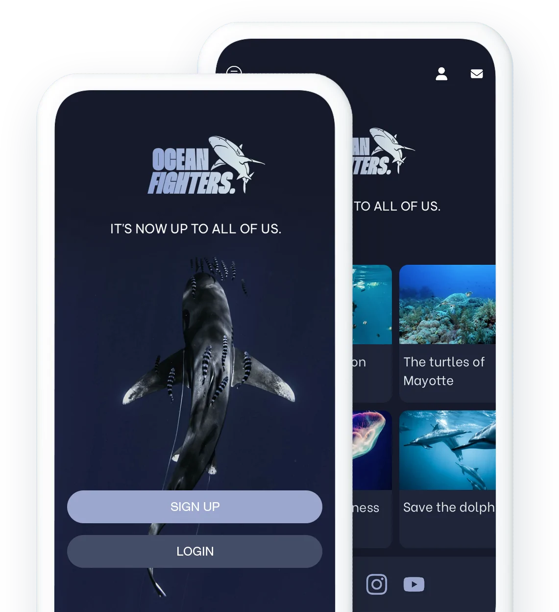 Organización sin fines de lucro App